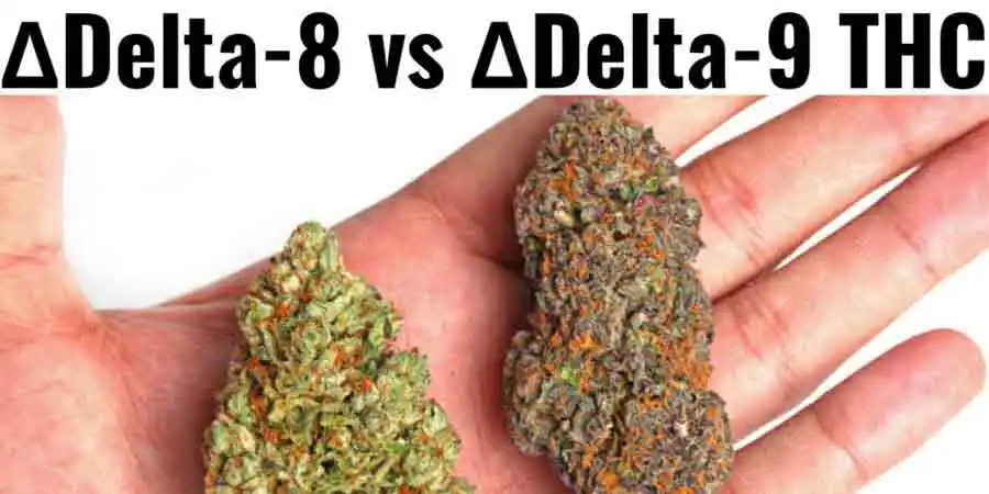 How long does Delta 8 stay in your system